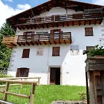 Piccola Stella Alpina * Canale dʼAgordo