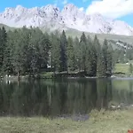 Piccola Stella Alpina