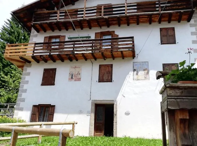 Piccola Stella Alpina * Canale dʼAgordo