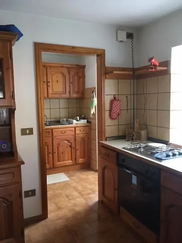 Piccola Stella Alpina *