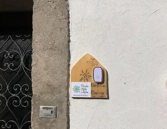 Piccola Stella Alpina Canale dʼAgordo