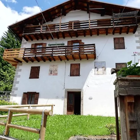 Piccola Stella Alpina * Canale dʼAgordo