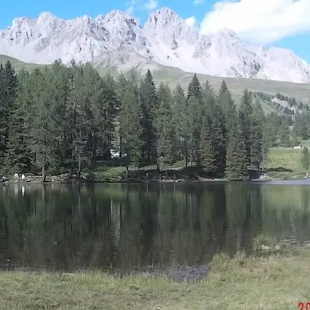 Piccola Stella Alpina