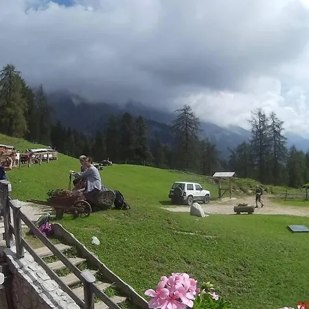 Piccola Stella Alpina דירה