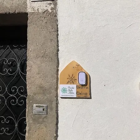 Piccola Stella Alpina Canale dʼAgordo