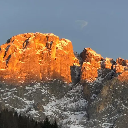 Piccola Stella Alpina Canale dʼAgordo
